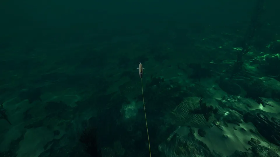 Ultimate Fishing Simulator: Florida