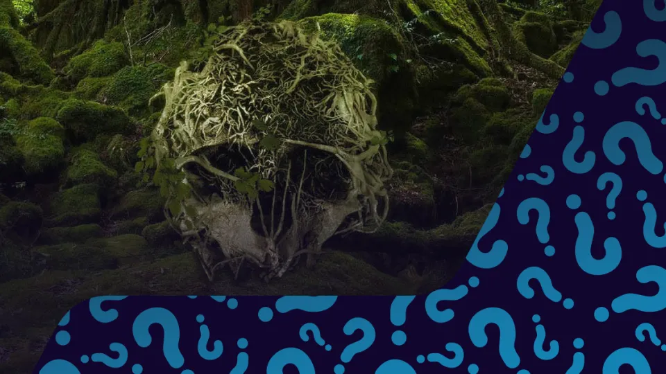 Try to get The Forest - Random 1 Key