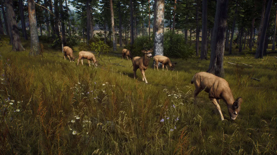 Way of the Hunter | Ultimate Edition