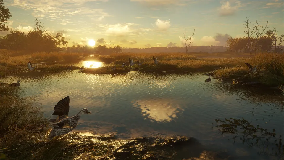 TheHunter: Call of the Wild - Salzwiesen Park