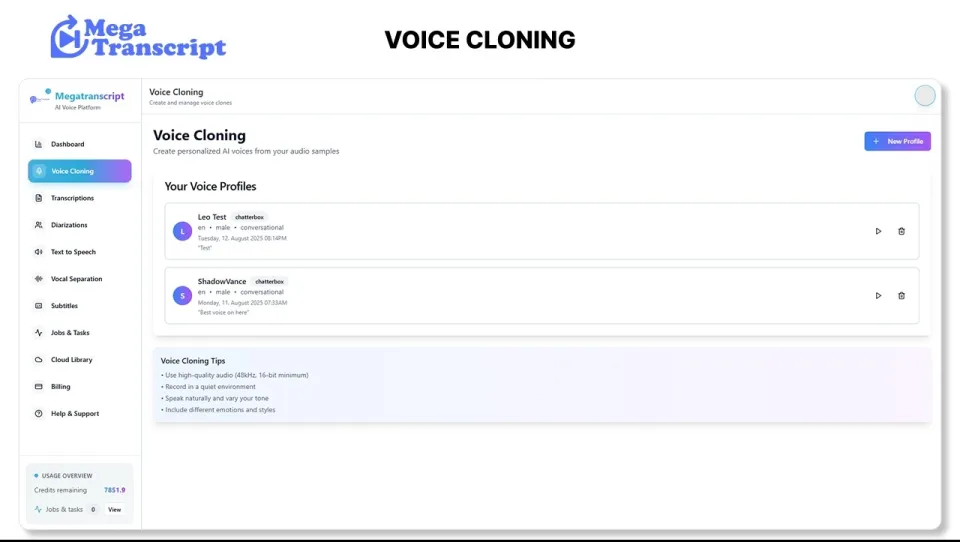 Megatranscript AI Transcription & Text-to-Speech 1100 Credits - Megatranscript Key