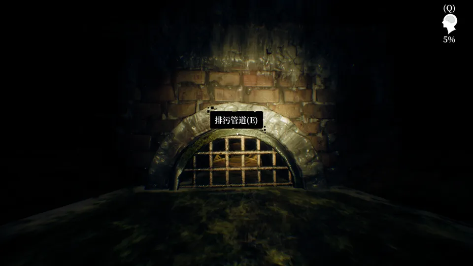 Below the Surface: Uncovering the Truth in the Sewers Steam