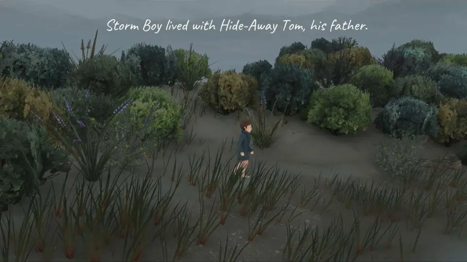 Storm Boy