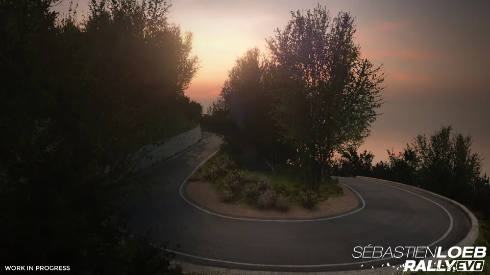 Sébastien Loeb Rally EVO