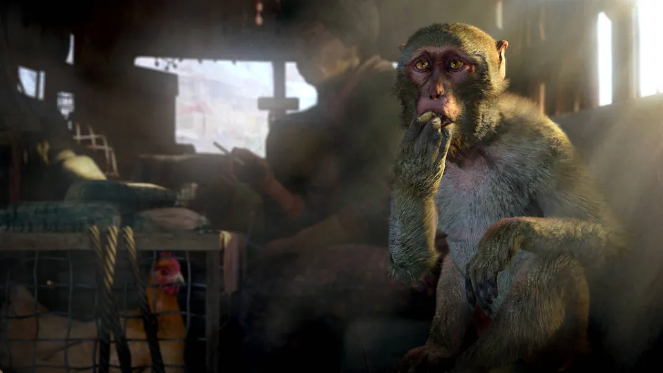 Far Cry 4 + Season Pass