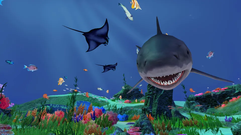 Fancy Fishing [VR]