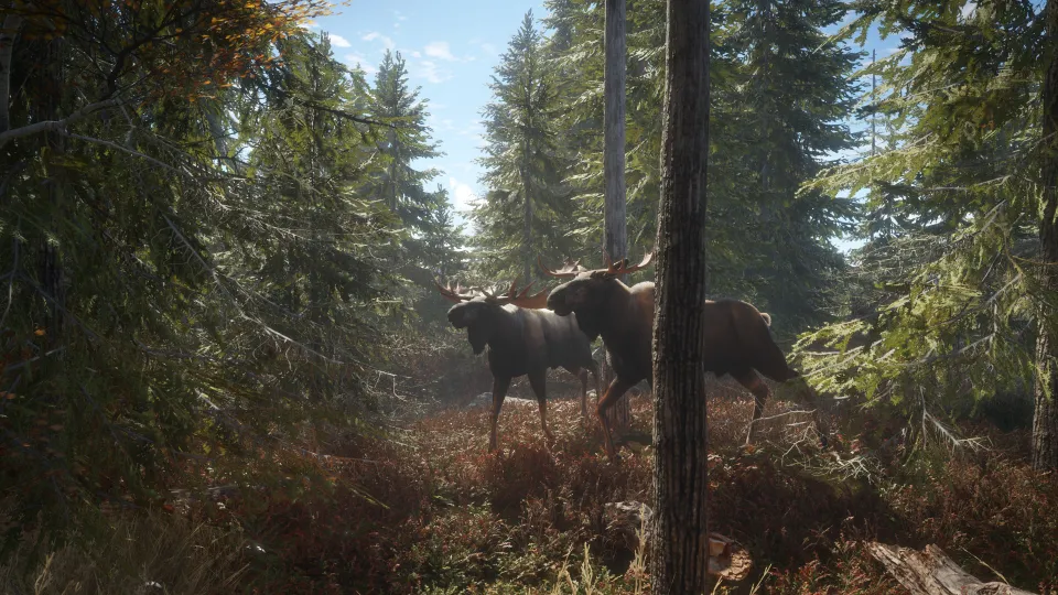 theHunter: Call of the Wild - Greenhorn Bundle