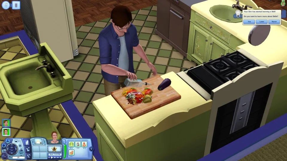 The Sims 3 + University Life