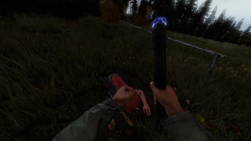 DayZ Frostline Edition