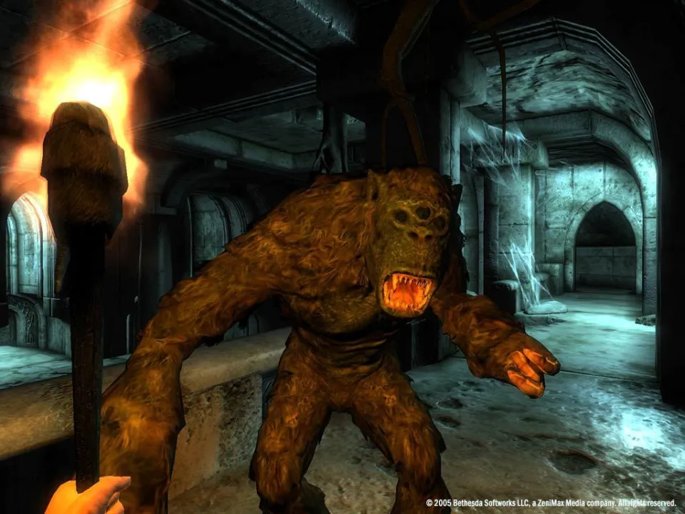 The Elder Scrolls IV: Oblivion Game of the Year Edition