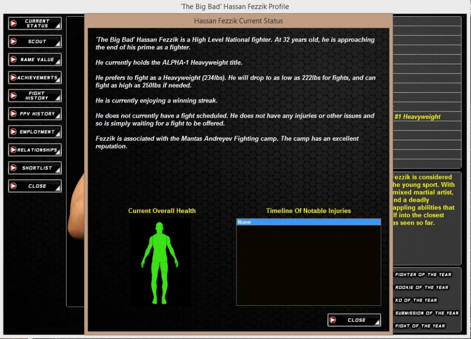 World of Mixed Martial Arts 3