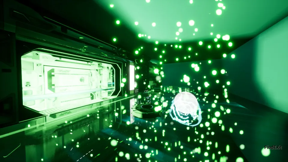 Gravity Field