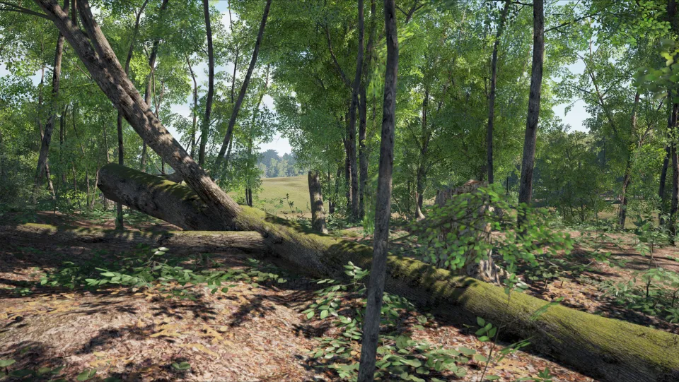 SCUM Complete Bundle