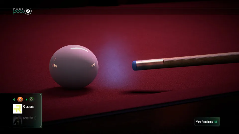 Pure Pool