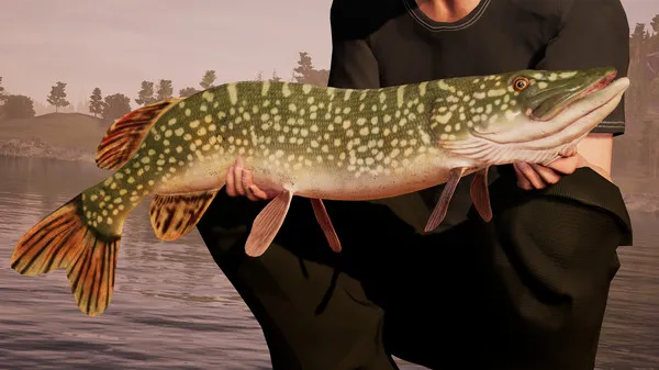 Fishing Sim World Pro Tour (Deluxe Edition)