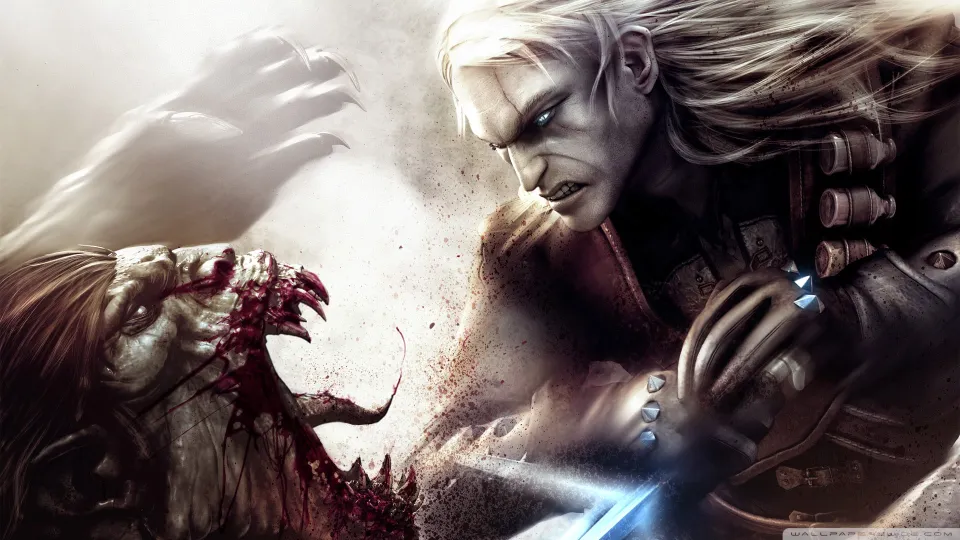 The Witcher: Enhanced Edition (Director's Cut)