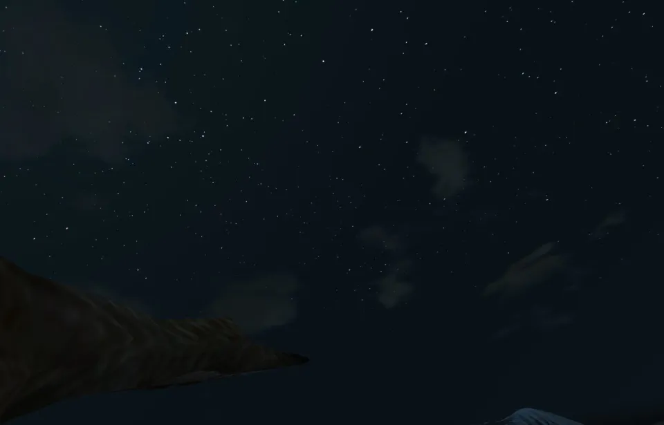 Aquila Bird Flight Simulator