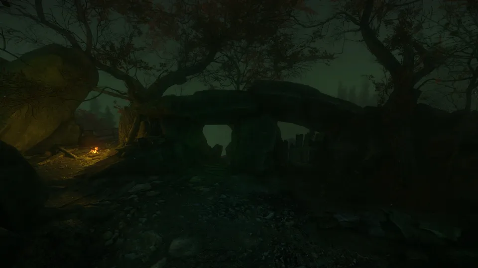 The Cursed Forest